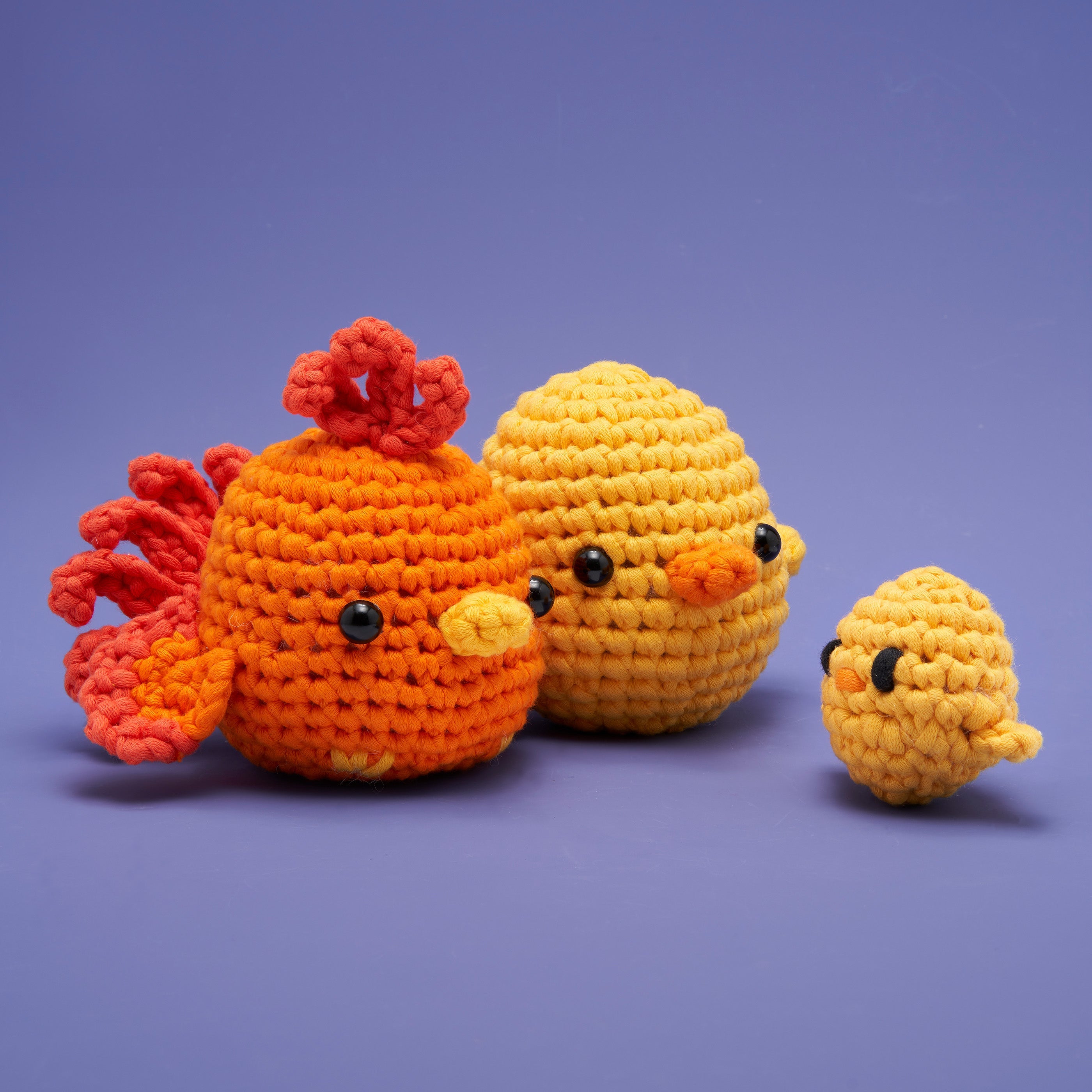 Lot d'oiseaux d'une plume