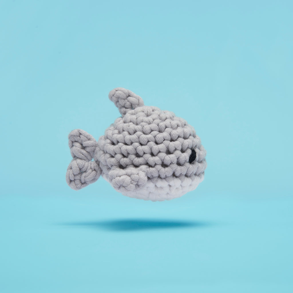 Sur votre requin, prêts, partez