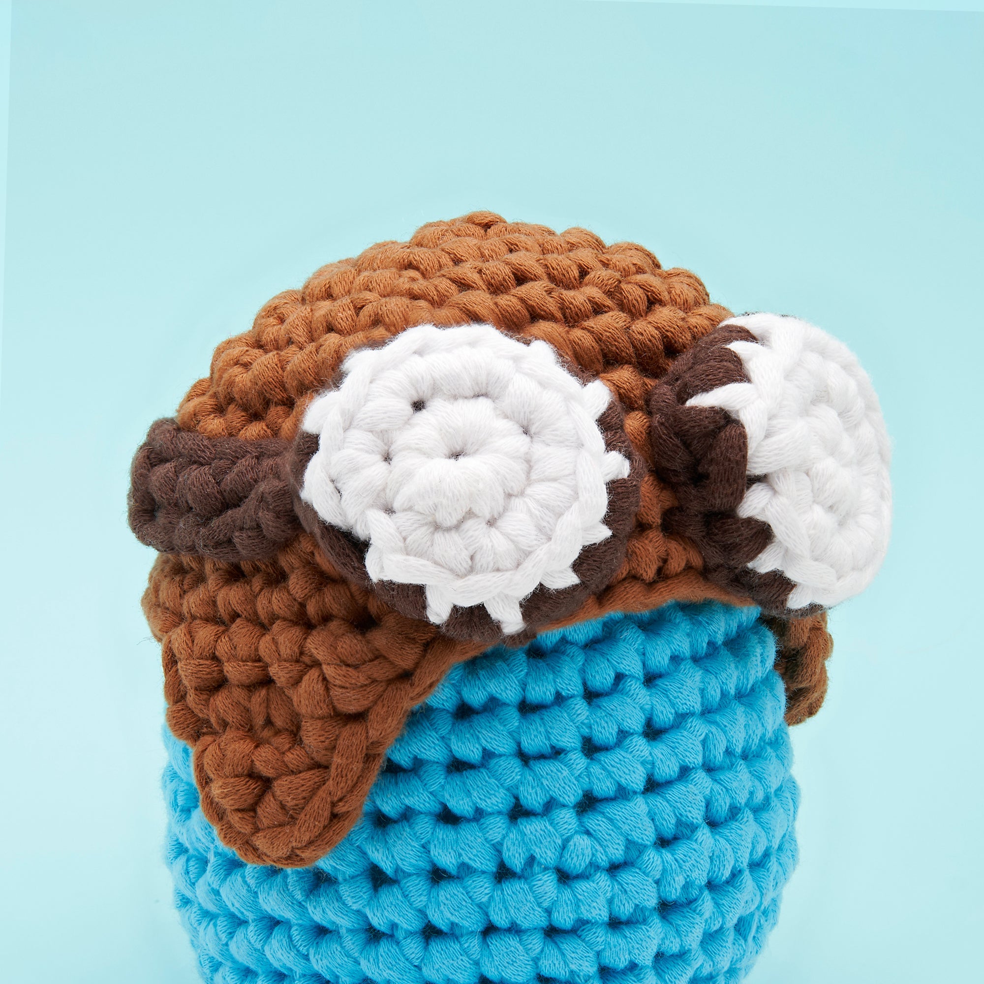 Kit d'accessoires pour petit chapeau d'aviateur