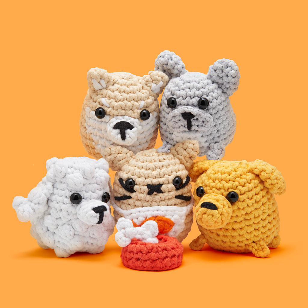 Obtenez ce pack Paw-ty Started