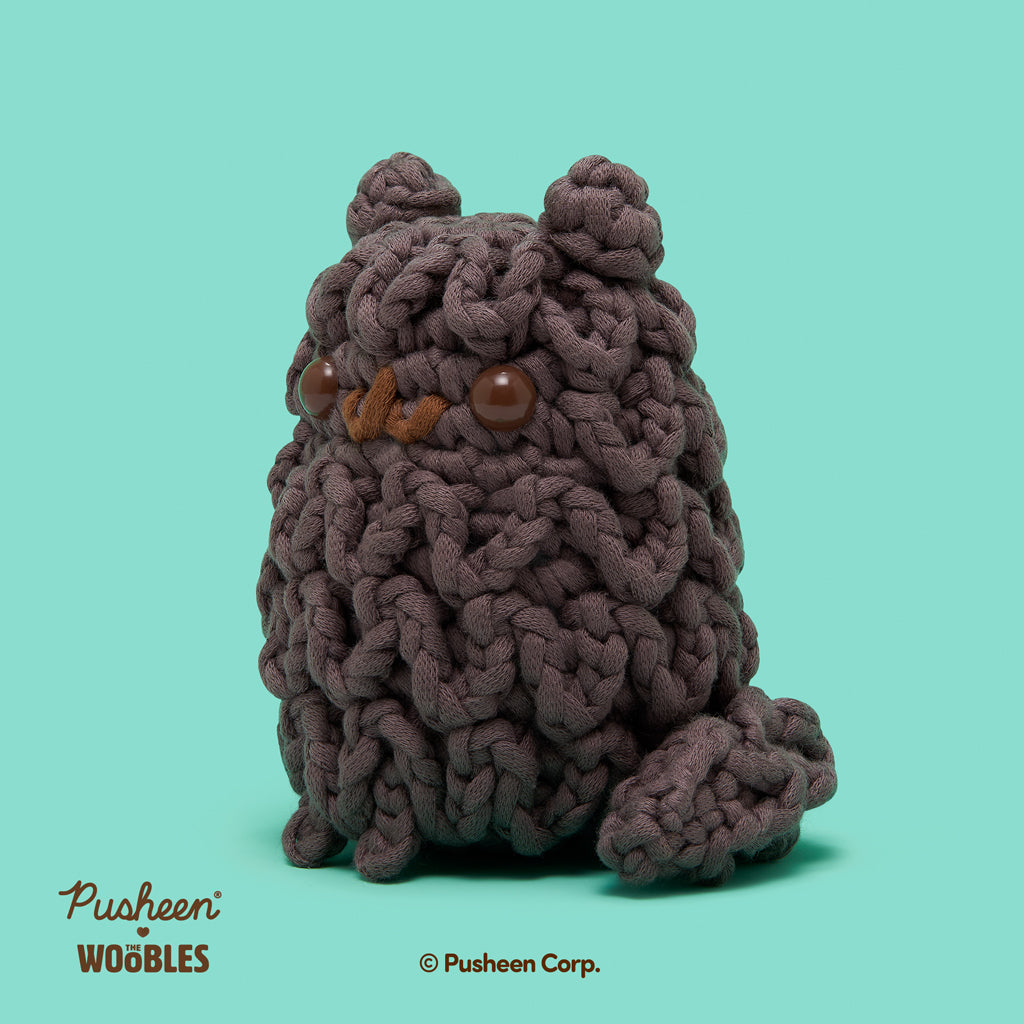 Kit de crochet à pépins