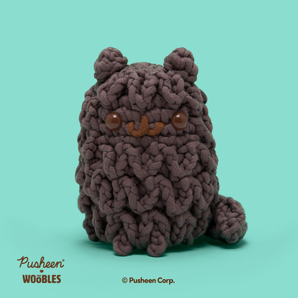 Kit de crochet à pépins