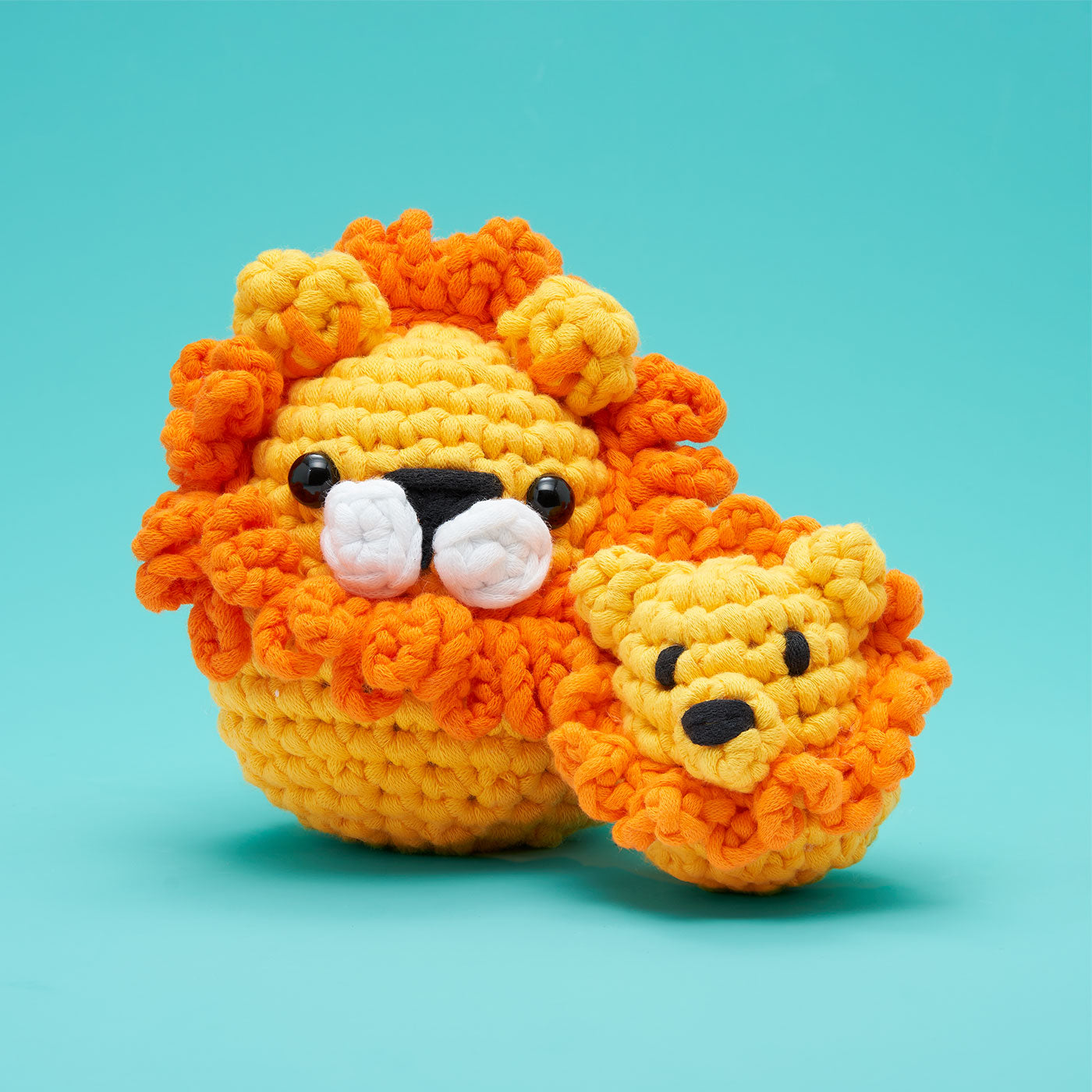 Kit d'accessoires Petit Lion